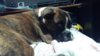 IMG-20150503-WA0002.jpeg