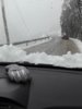 IMG_20170305_095427.jpg